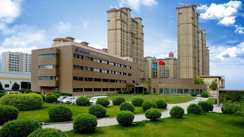 中药饮片代工：揭秘代工价格背后的关键因素