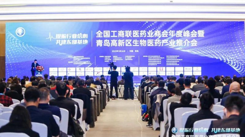 医药流通数字化转型：揭秘成功背后的关键要素