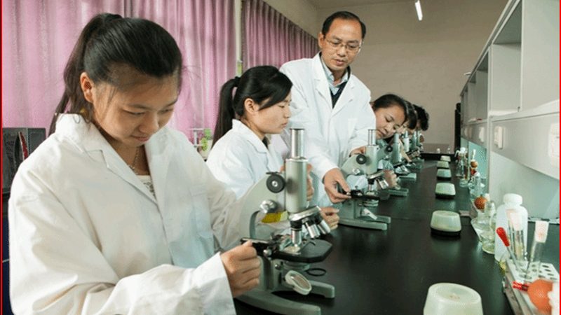 广州保健品OEM：揭秘十大品牌背后的技术实力与合规标准