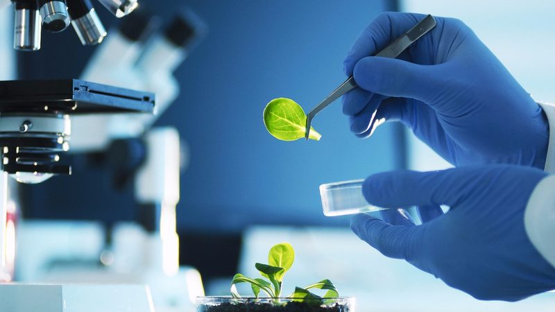 药用辅料玉米淀粉：了解其最新报价背后的关键因素**